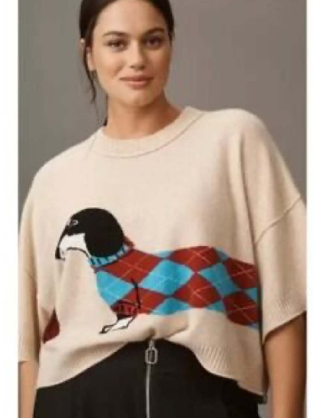 NWT Anthro The Goldie Crew-Neck 100% Cashmere  Oversized Sweater Dachshund